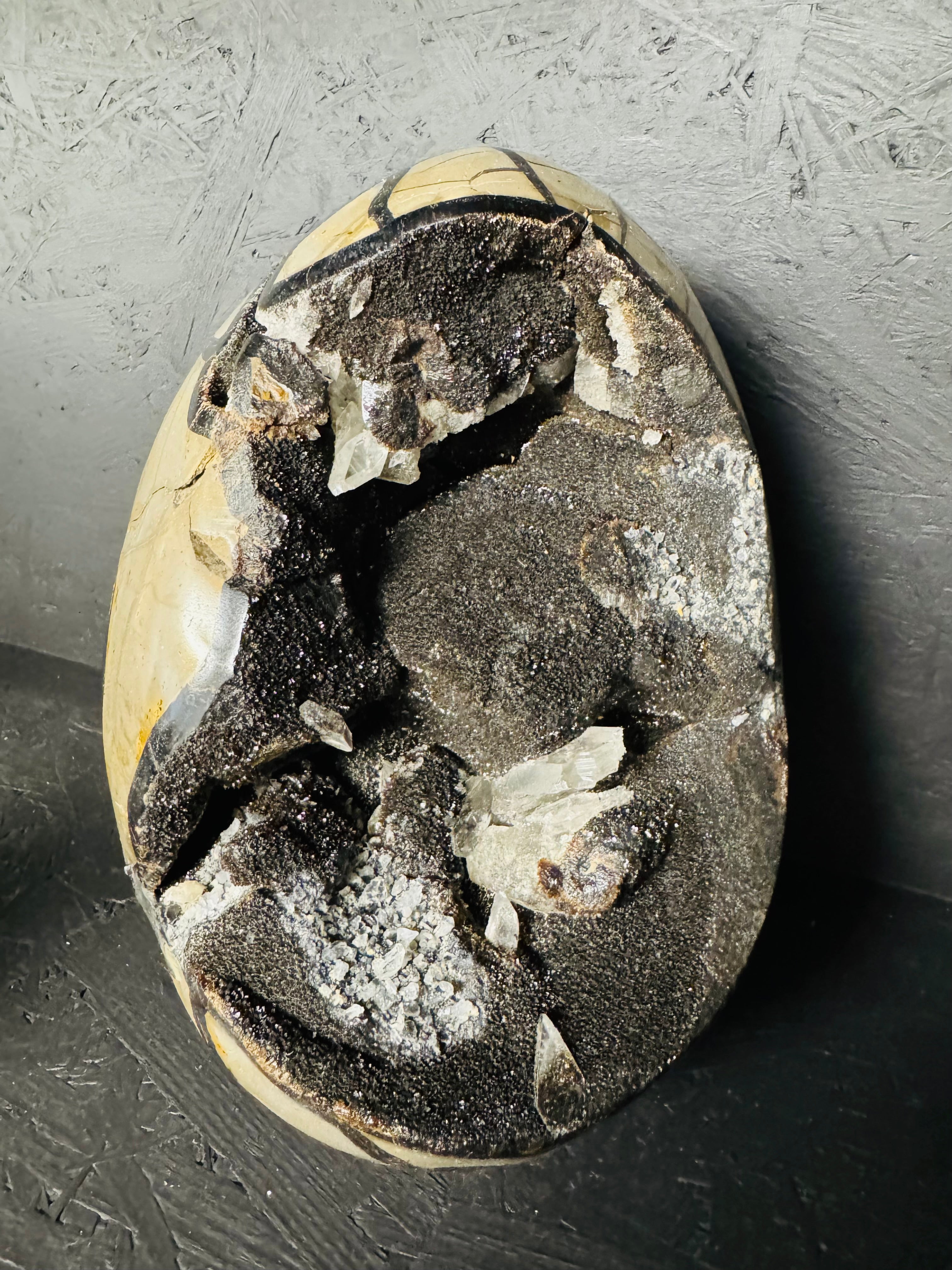 Magische Dracheneier - Septarie Big