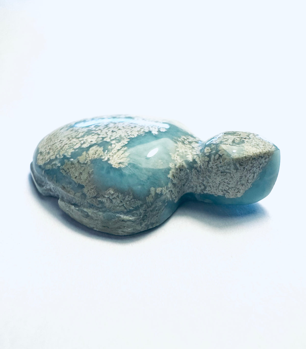 Larimar Schildkröte