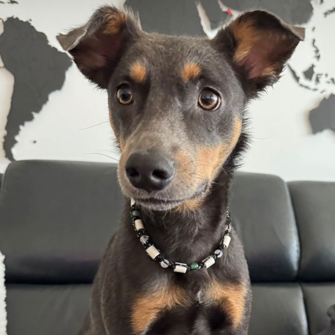 Personalisierte Halskette Hunde mit EM