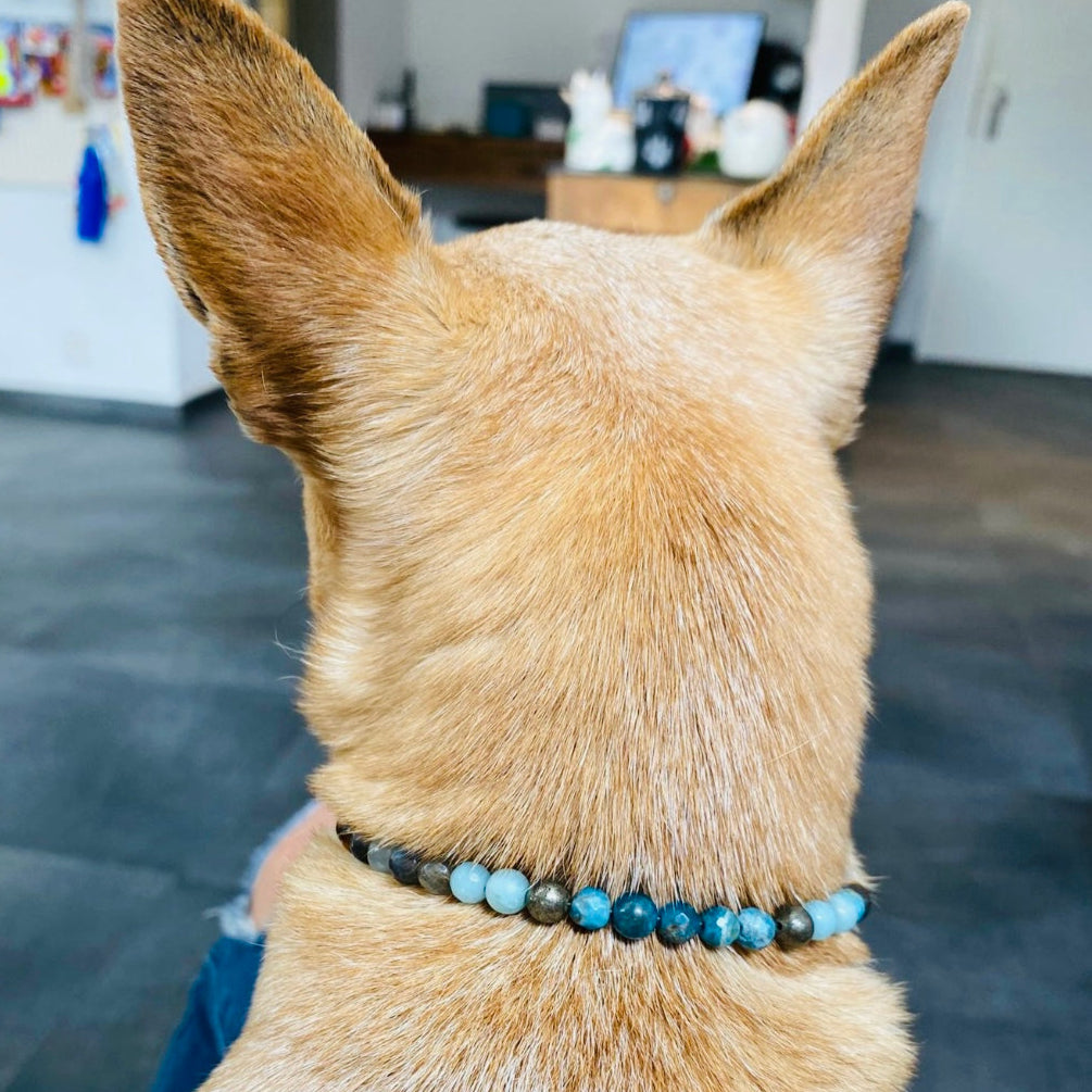 Personalisierte Halskette Hunde