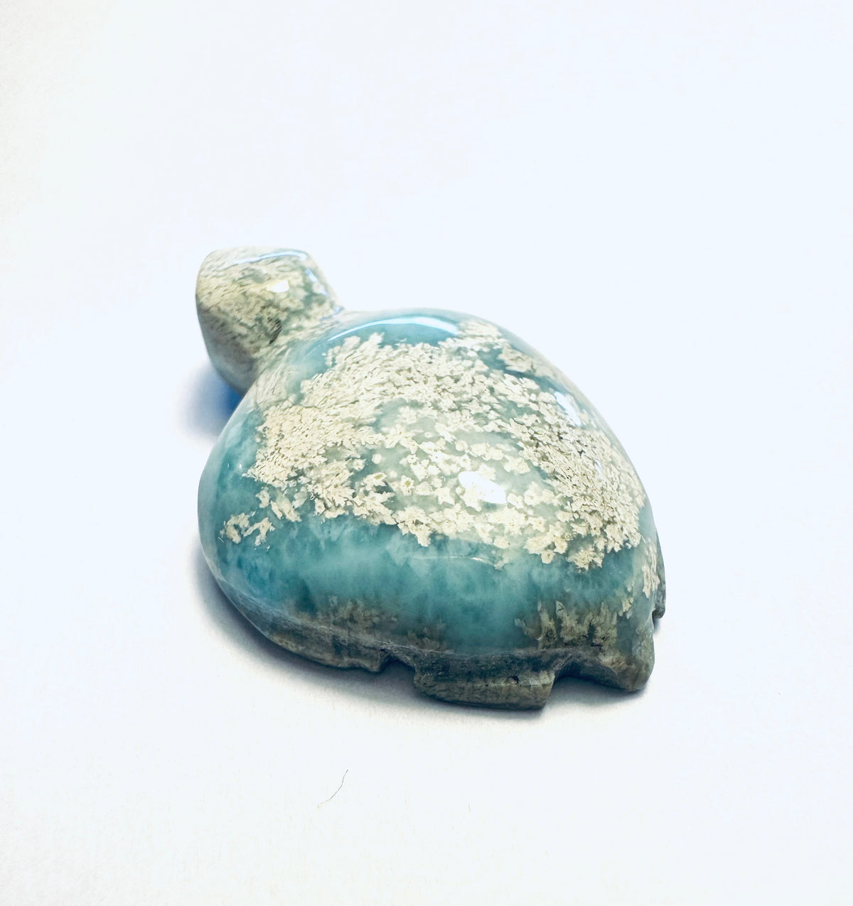 Larimar Schildkröte