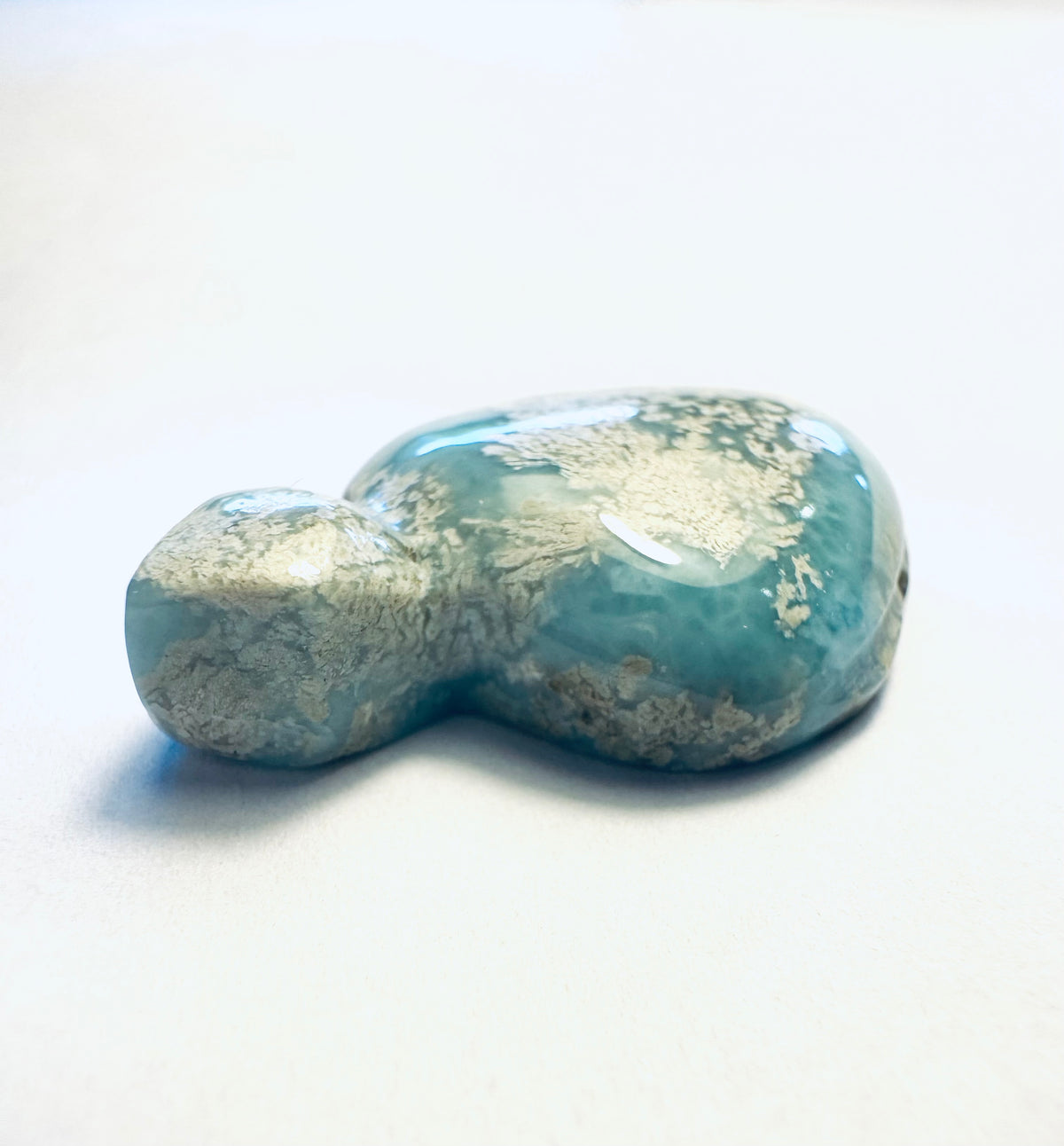 Larimar Schildkröte