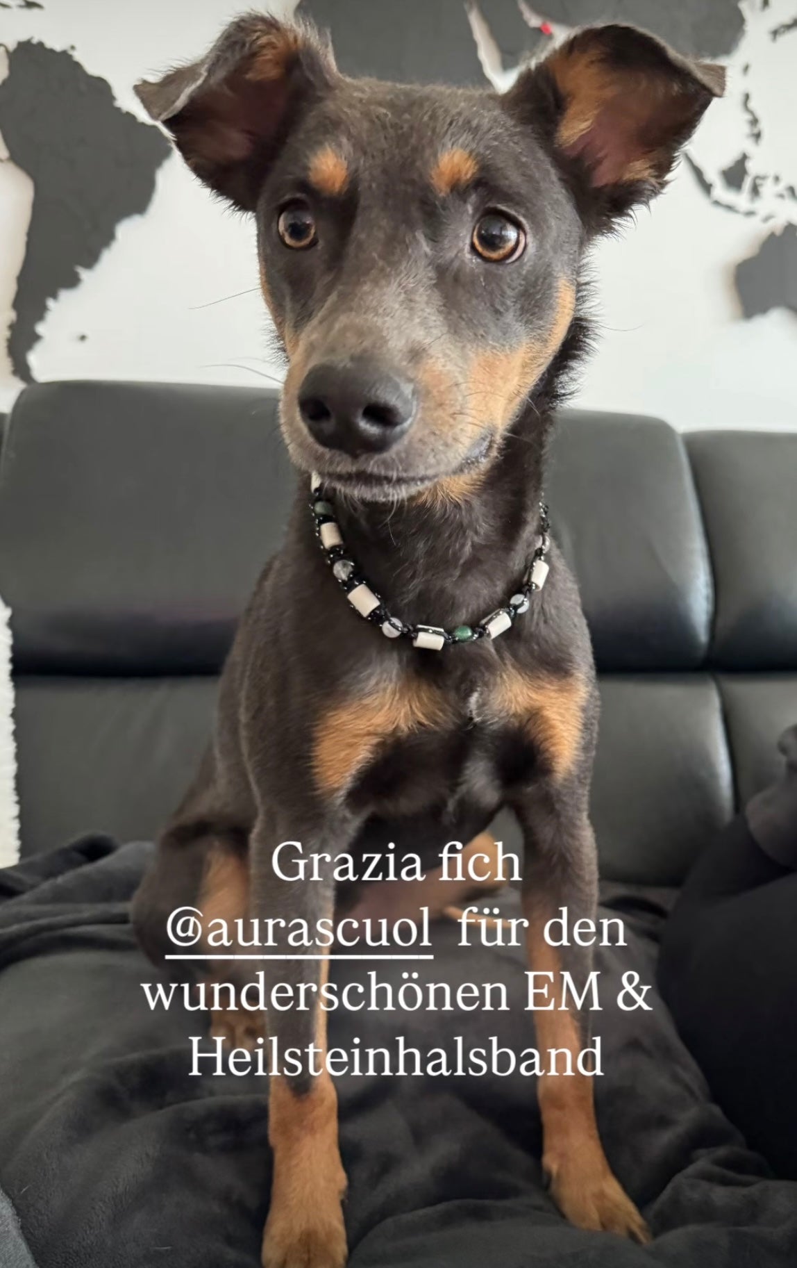 Personalisierte Halskette Hunde mit EM