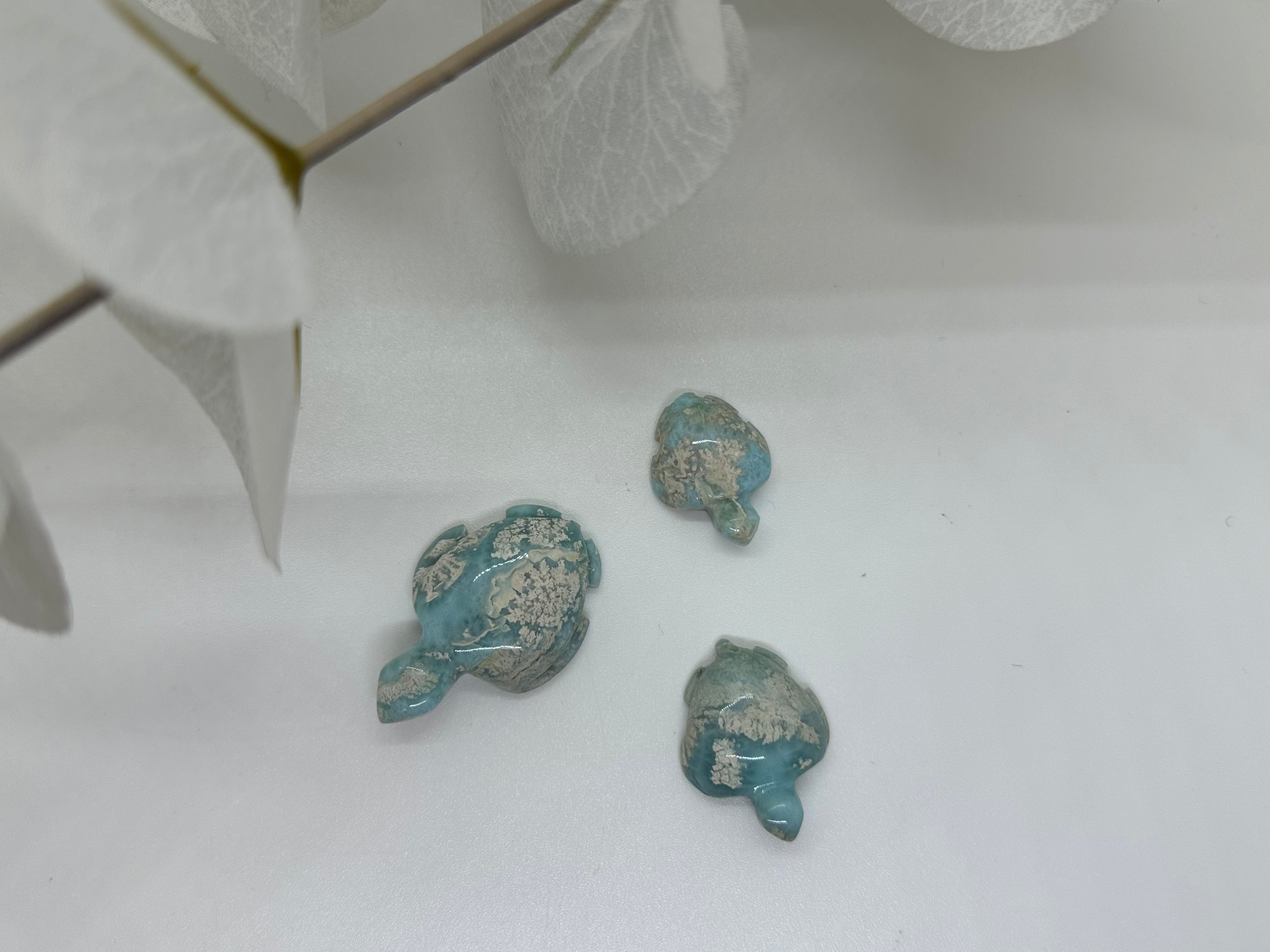 Larimar Schildkröte